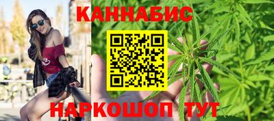 Альфа ПВП Заволжье