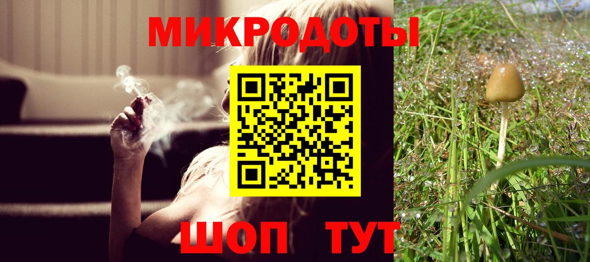 Дальнереченск  Галлюциногенные грибы Psilocybe  Вход с VPN 